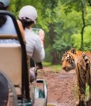 Summer Lakes & Jungle Of Kumaon